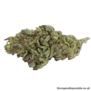 White Rhino Marijuana Strain UK