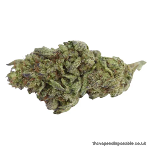 White Rhino Marijuana Strain UK