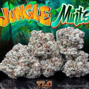 Jungle Mints UK