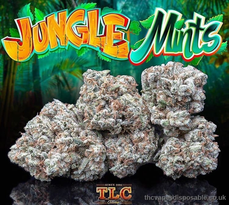 Jungle Mints UK