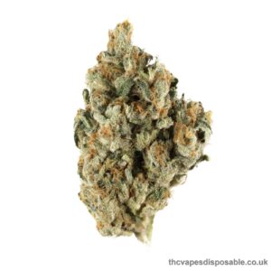 BENJI STRAIN UK
