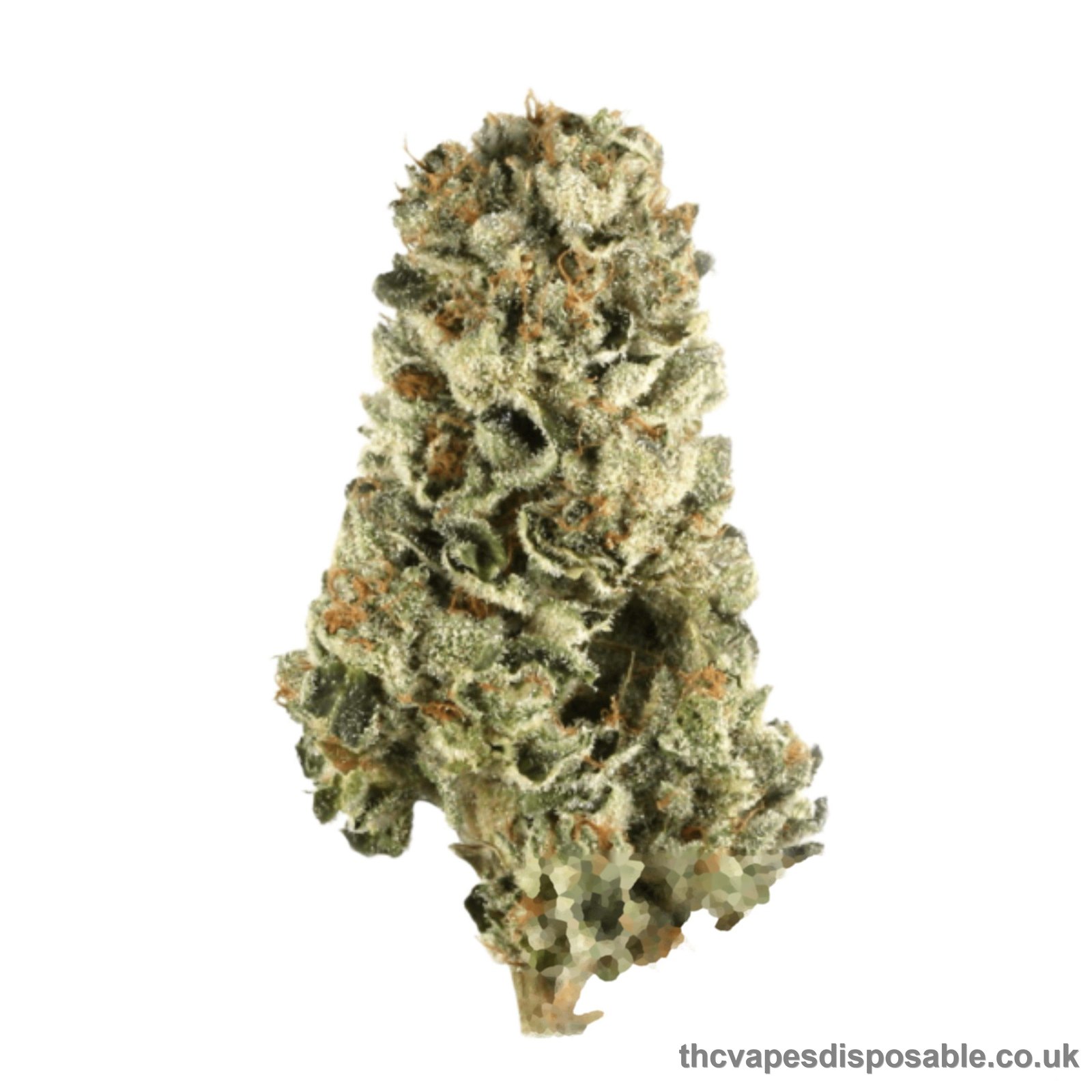GASOLINE STRAIN UK