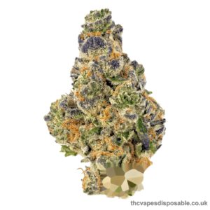 PURPLE PUNCH STRAIN UK