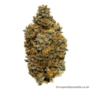 BLUE ZUSHI STRAIN UK