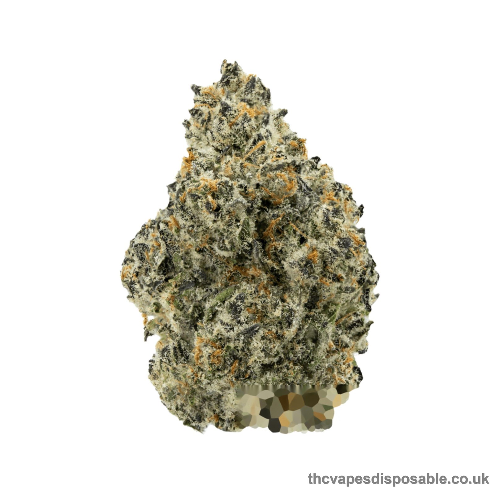 MIMOSA STRAIN UK