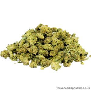 MIX MINI BUD PREMIUM STRAIN UK