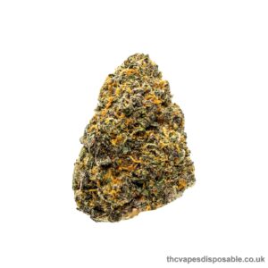 LEMON CHERRY GELATO STRAIN UK