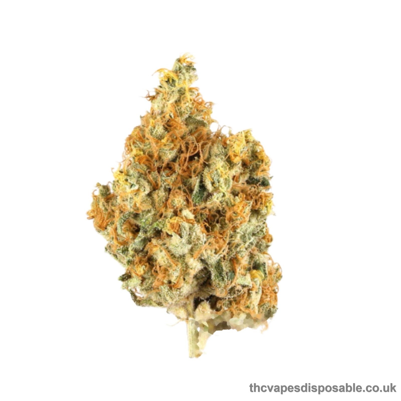 TANGERINE DREAM UK