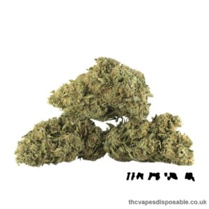 AMNESIA HAZE UK