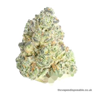 BADDIE STRAIN UK