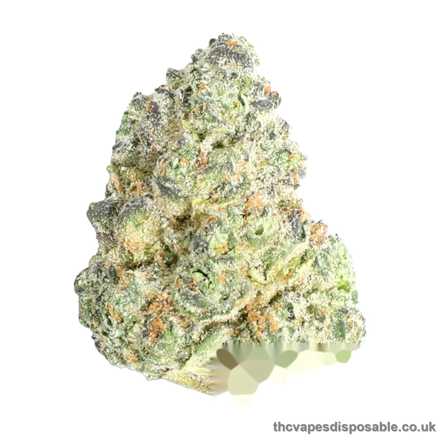 BADDIE STRAIN UK