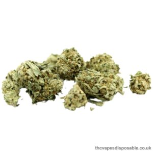 POPCORN GORILLA GLUE #4 UK