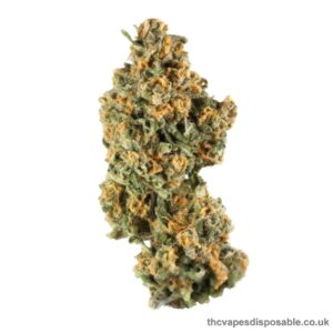 MALIBU STRAIN UK