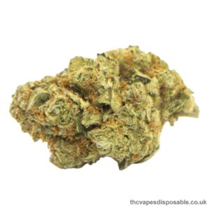 GASFACE OG STRAIN UK