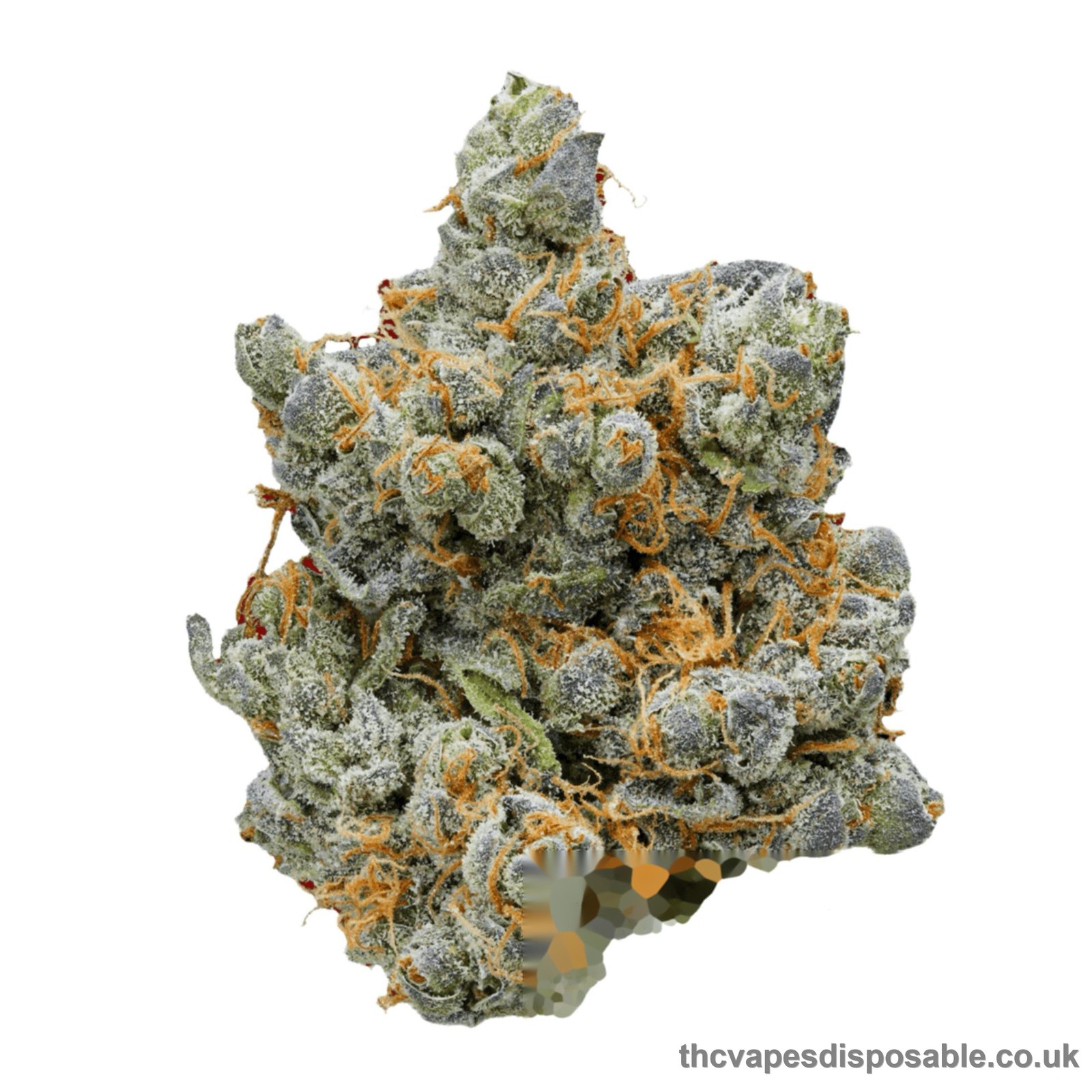 BLUEBERRY CHEESE CAKE UK