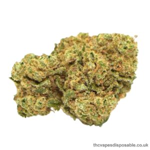 PINEAPPLE EXPRESS STRAIN UK