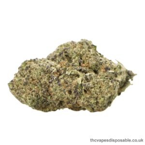 RUNTZ STRAIN UK