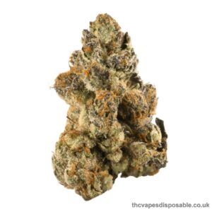 OG KUSH STRAIN UK