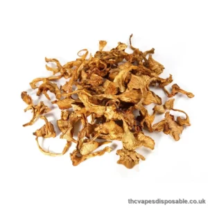 CHANTERELLE (GIROLLE) DRIED MUSHROOM UK