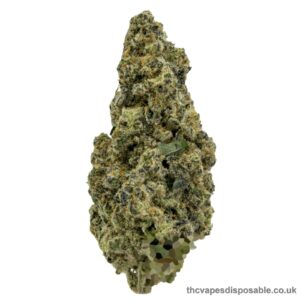 ICE CREAM CAKE STRAIN UK