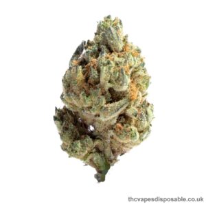 GELATO STRAIN UK