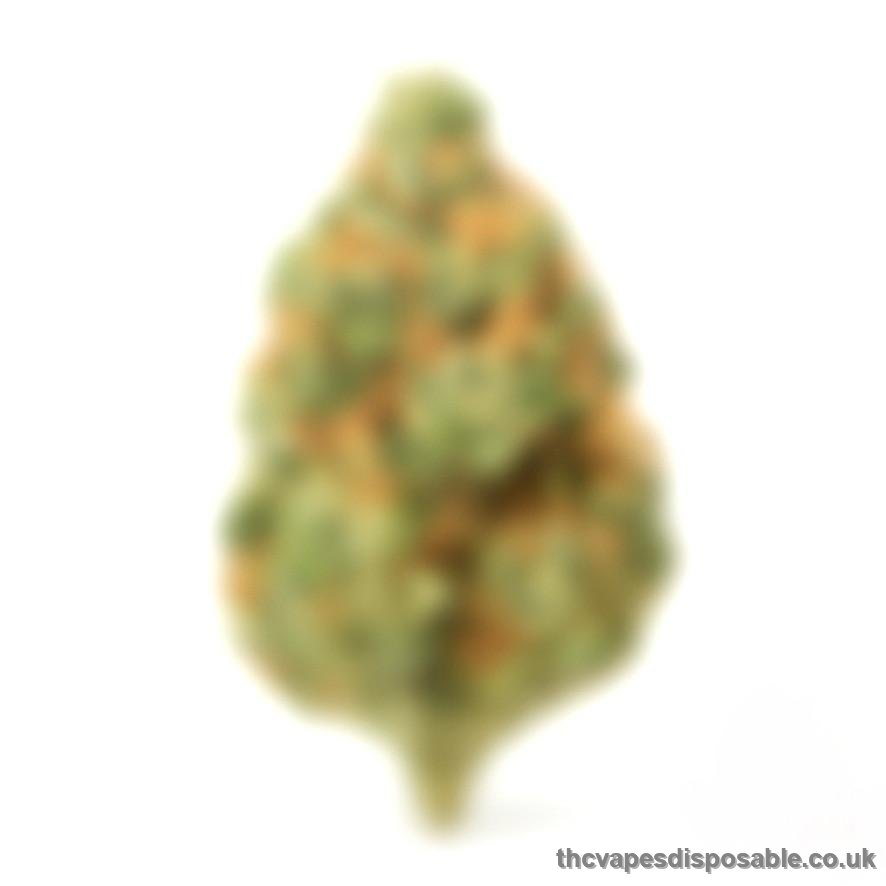 MYSTERY STRAIN UK
