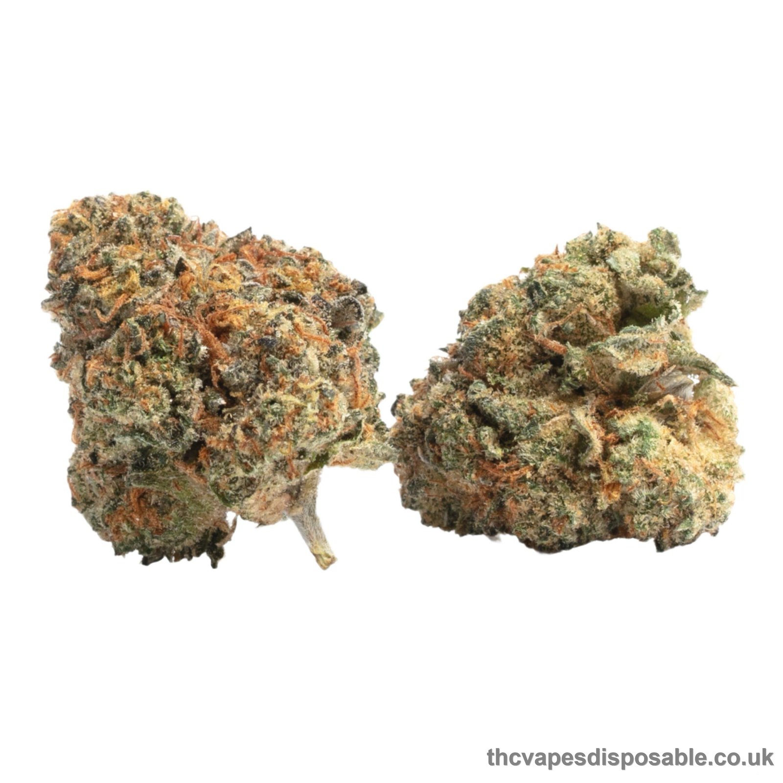 GUSHERS STRAIN UK