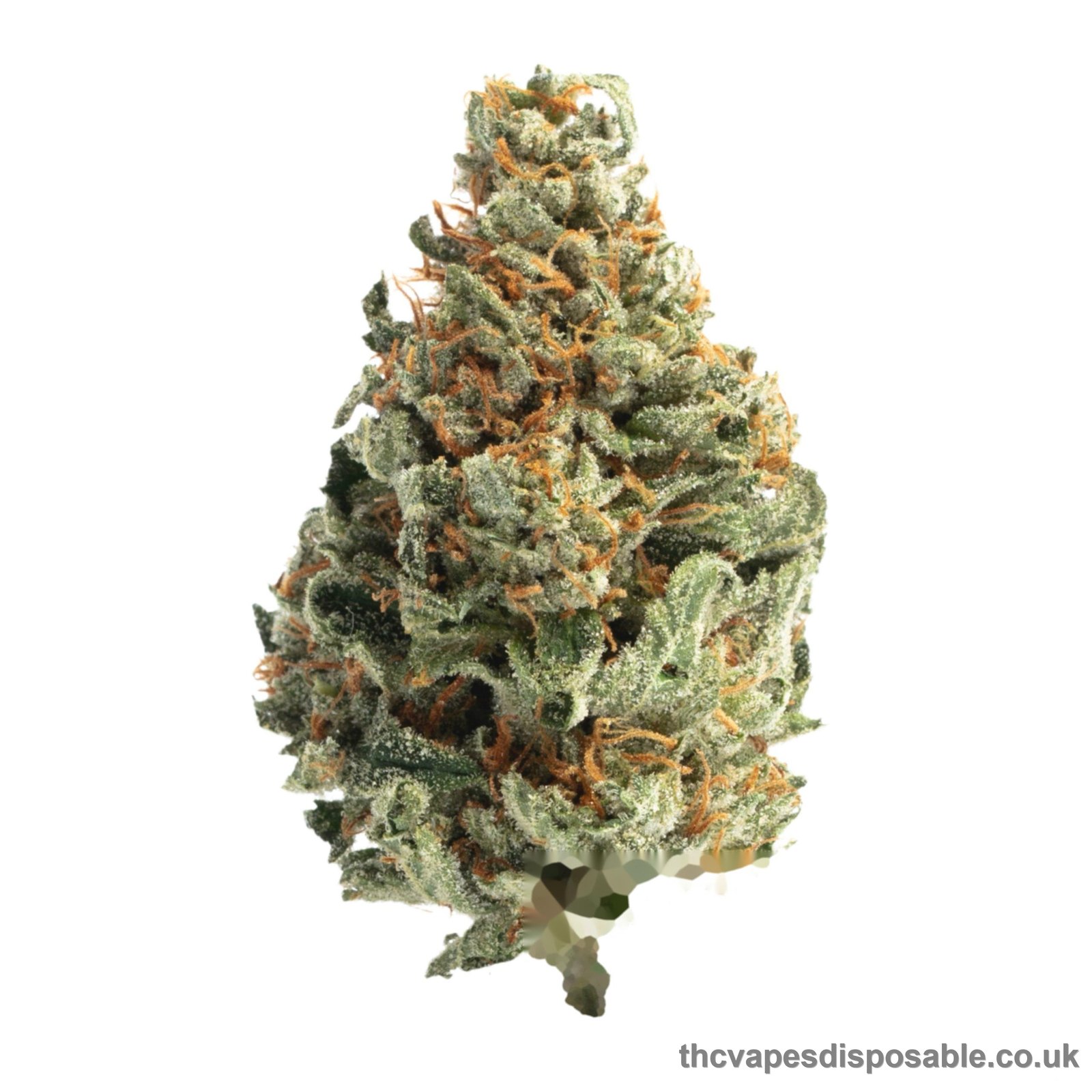 CLOUD 9 STRAIN UK