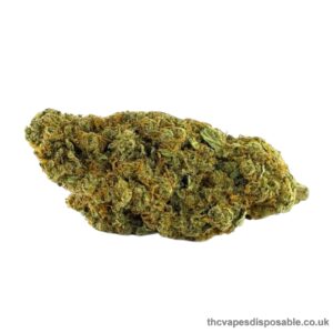 Girl Scout Cookies Premium Strain UK