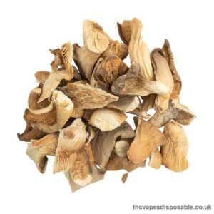 OYSTER DRIED MUSHROOM UK