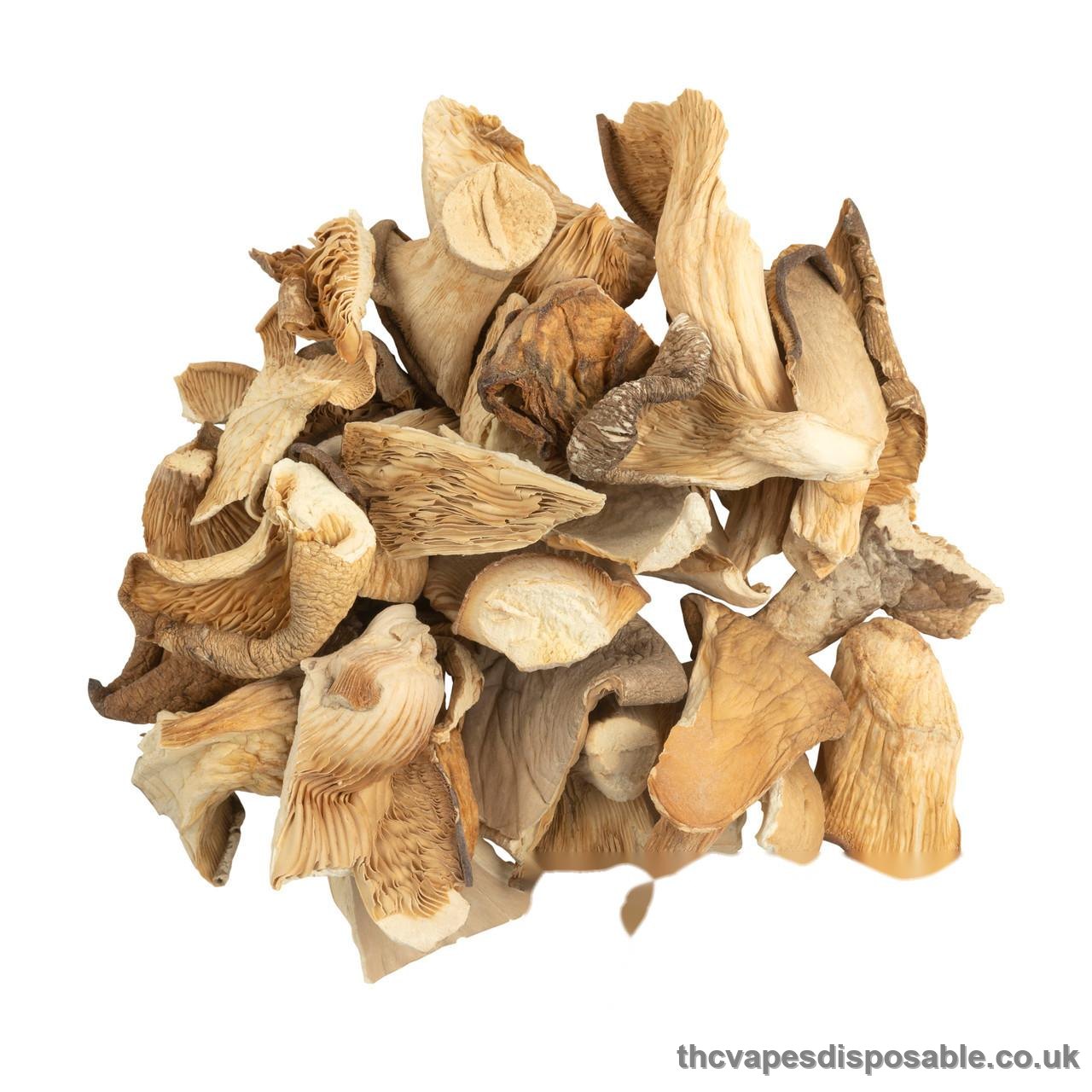OYSTER DRIED MUSHROOM UK