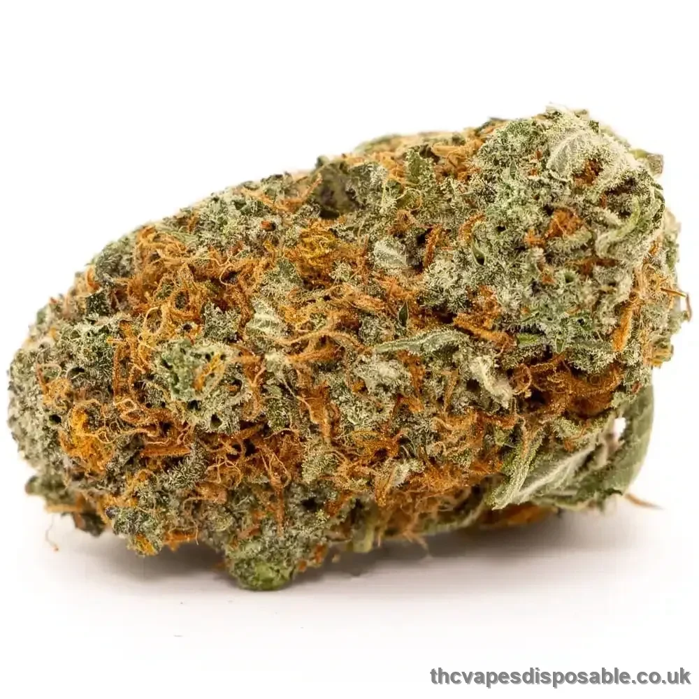Girl Scout Cookies Strain UK